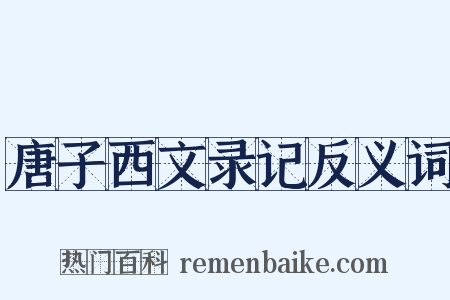 唐子西文录记反义词是什么意思的图片